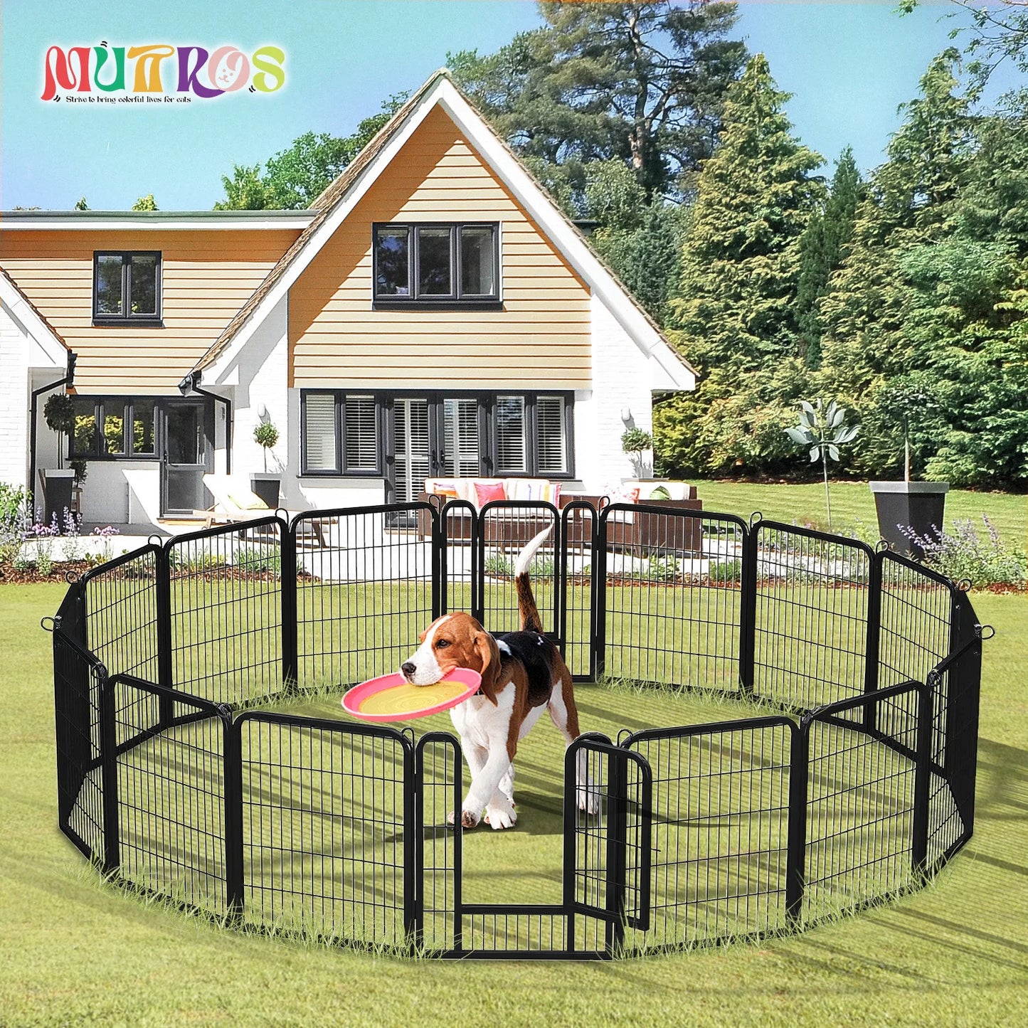 Heavy Duty Iron Dog Playpen With Door Foldable Pet Fence