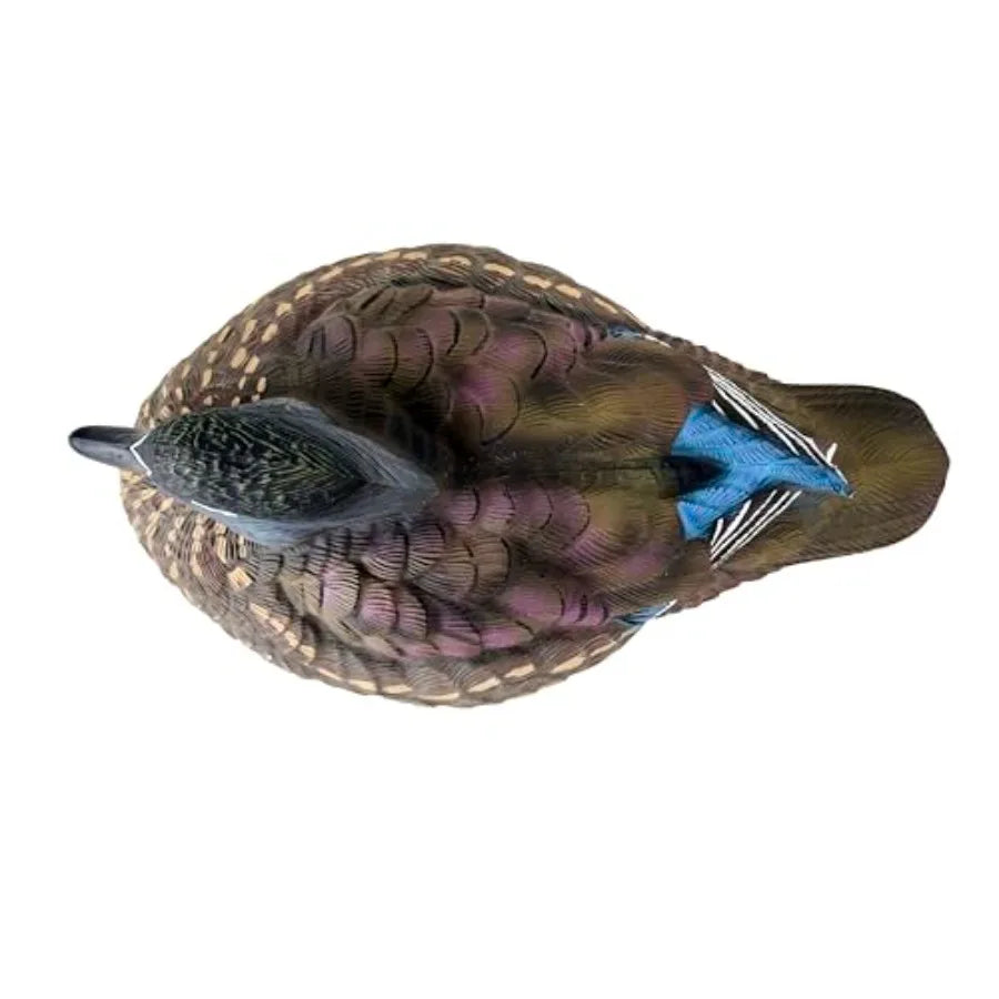 HEYDAY Wood Duck Decoys Ultra-Light 100% HydroFoam Beautiful Durable Unsinkable 6 Pack of Duck Hunting Decoys