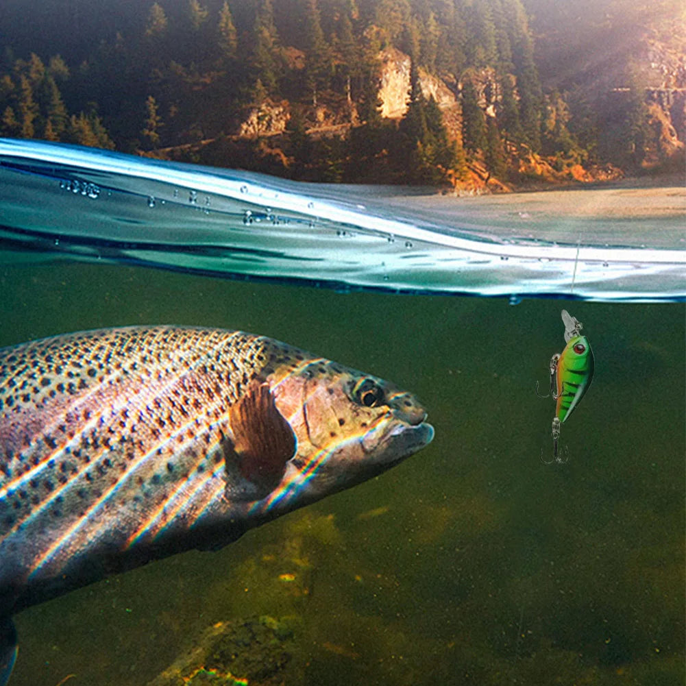 Shunmaii Fishing Advent Calendar 24 Lurebaits Christmas Countdown for Enthusiasts