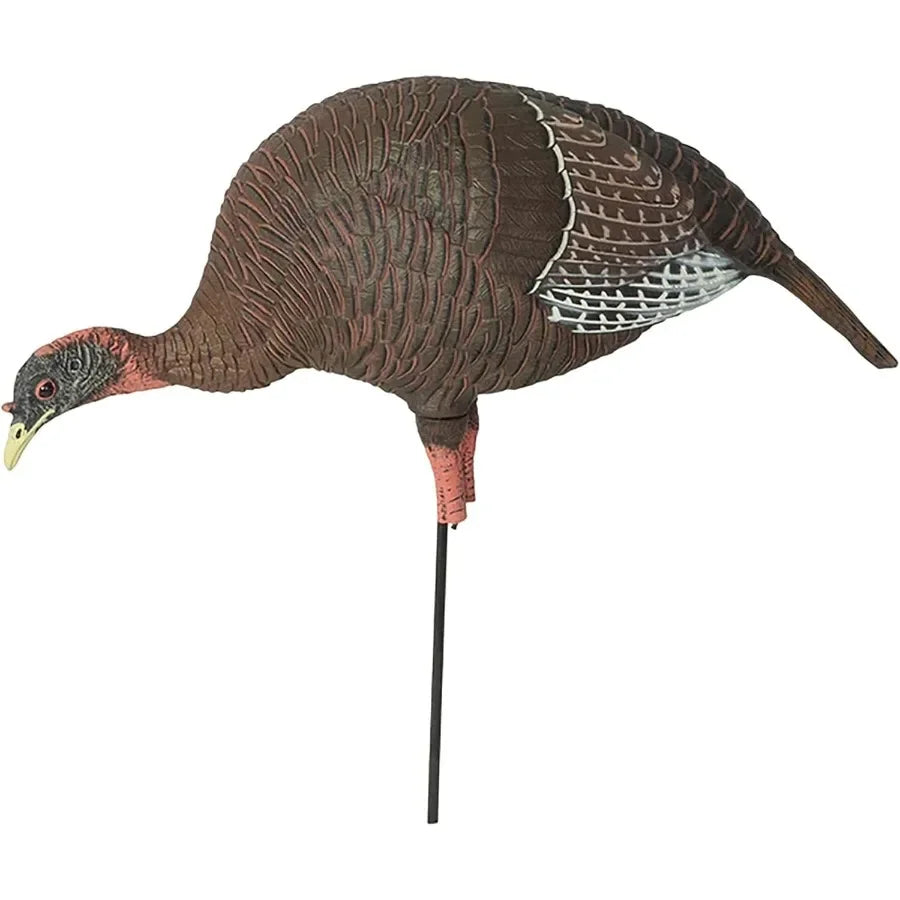 Banded GHG Pro-Grade XD Turkey Hunting Decoys Upright Jake Upright Hen Feeding Hen Laydown Combo Pack